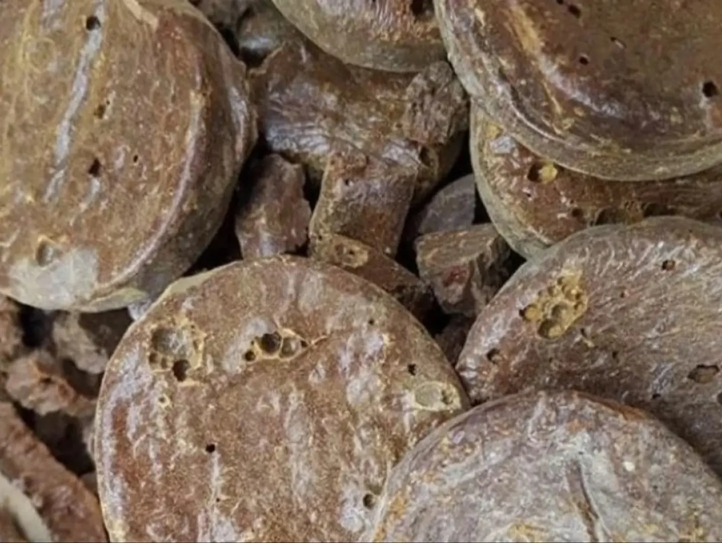 صبر حضرمي 50 جرام
