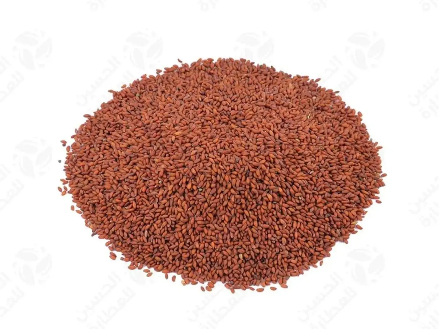 حب الرشاد (تفة) هندي ربع كيلو