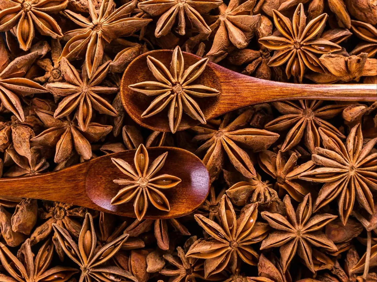 زهرة اليانسون (نجمة) ربع كيلو