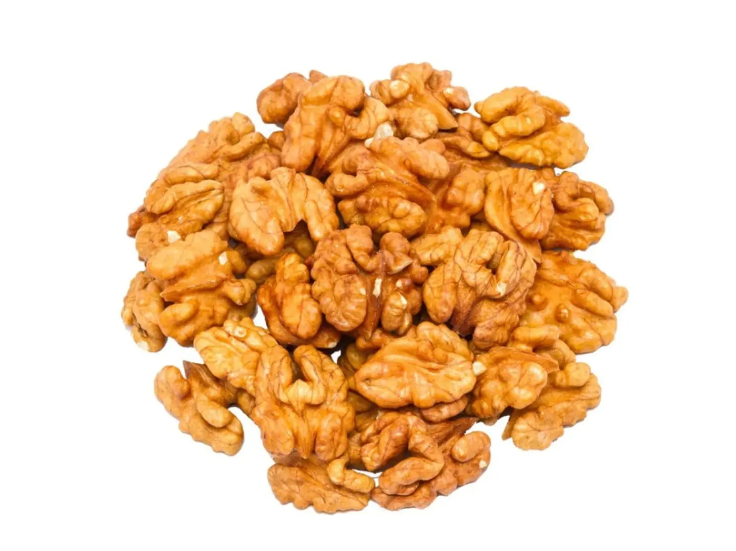 عين الجمل أمريكي ني ربع كيلو