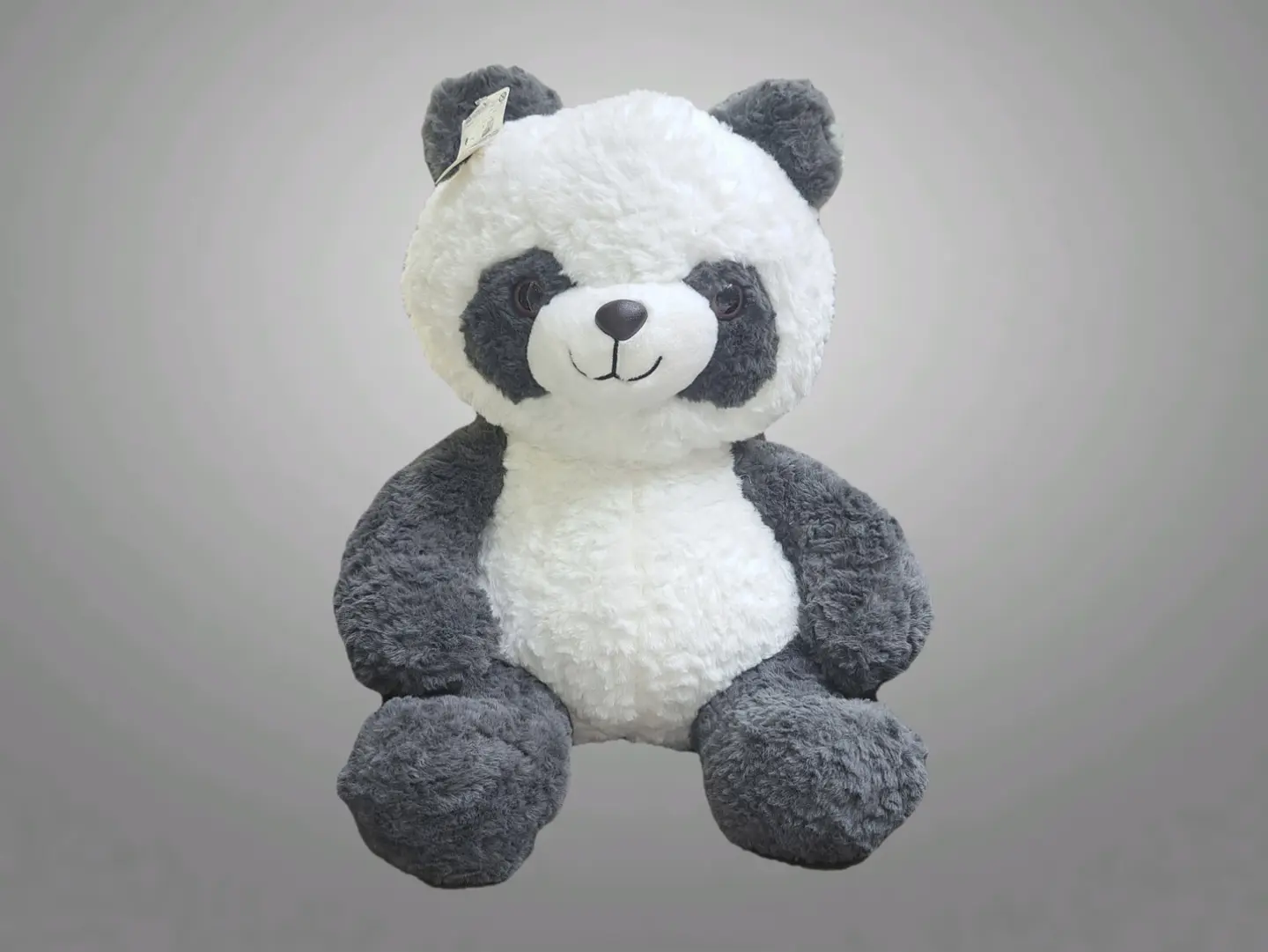 Panda Bear