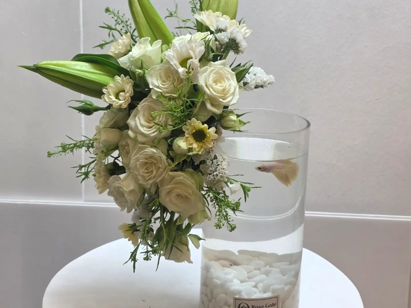 Vase Of Calm With Fish