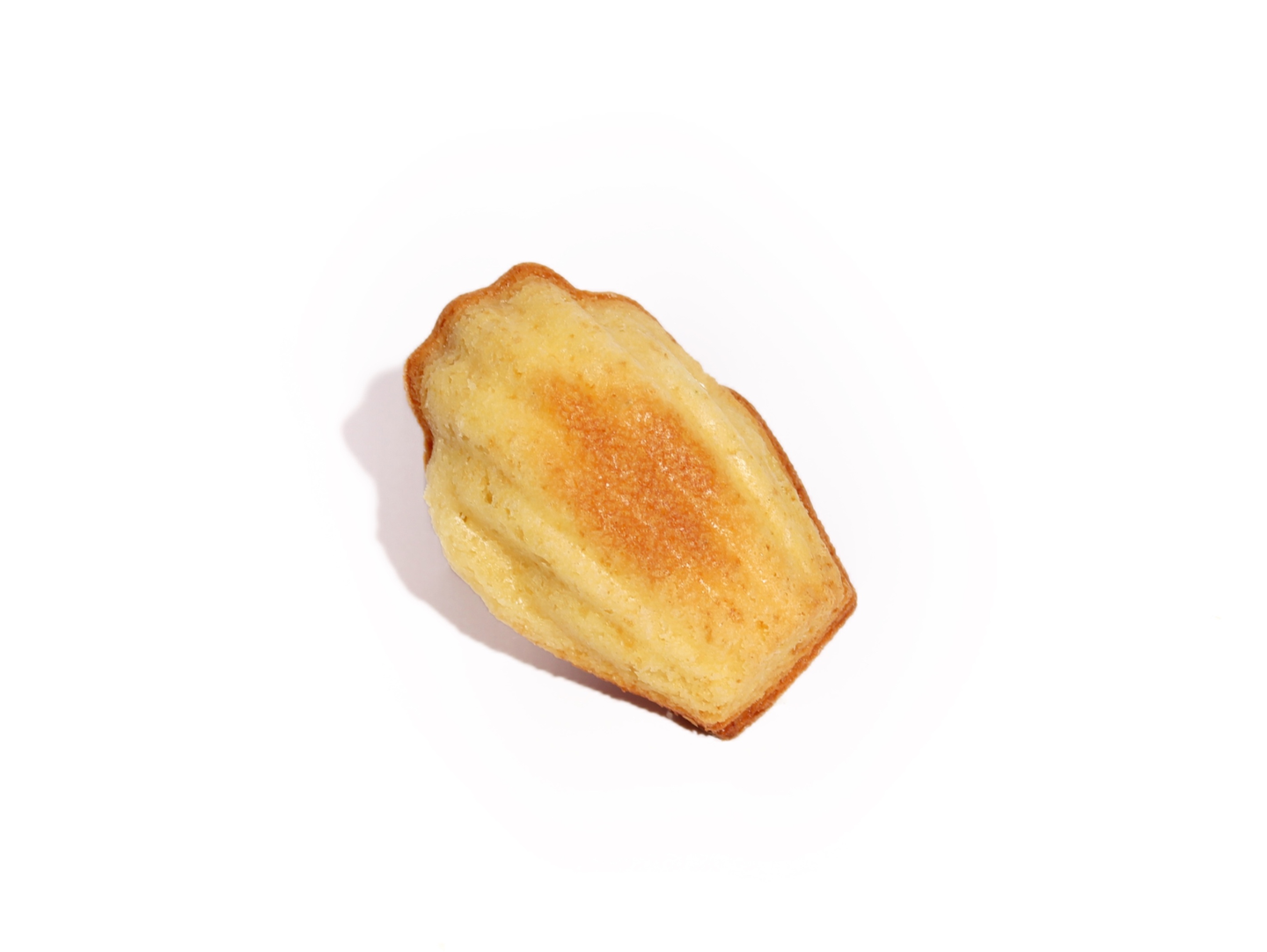 Vanilla Madeleine