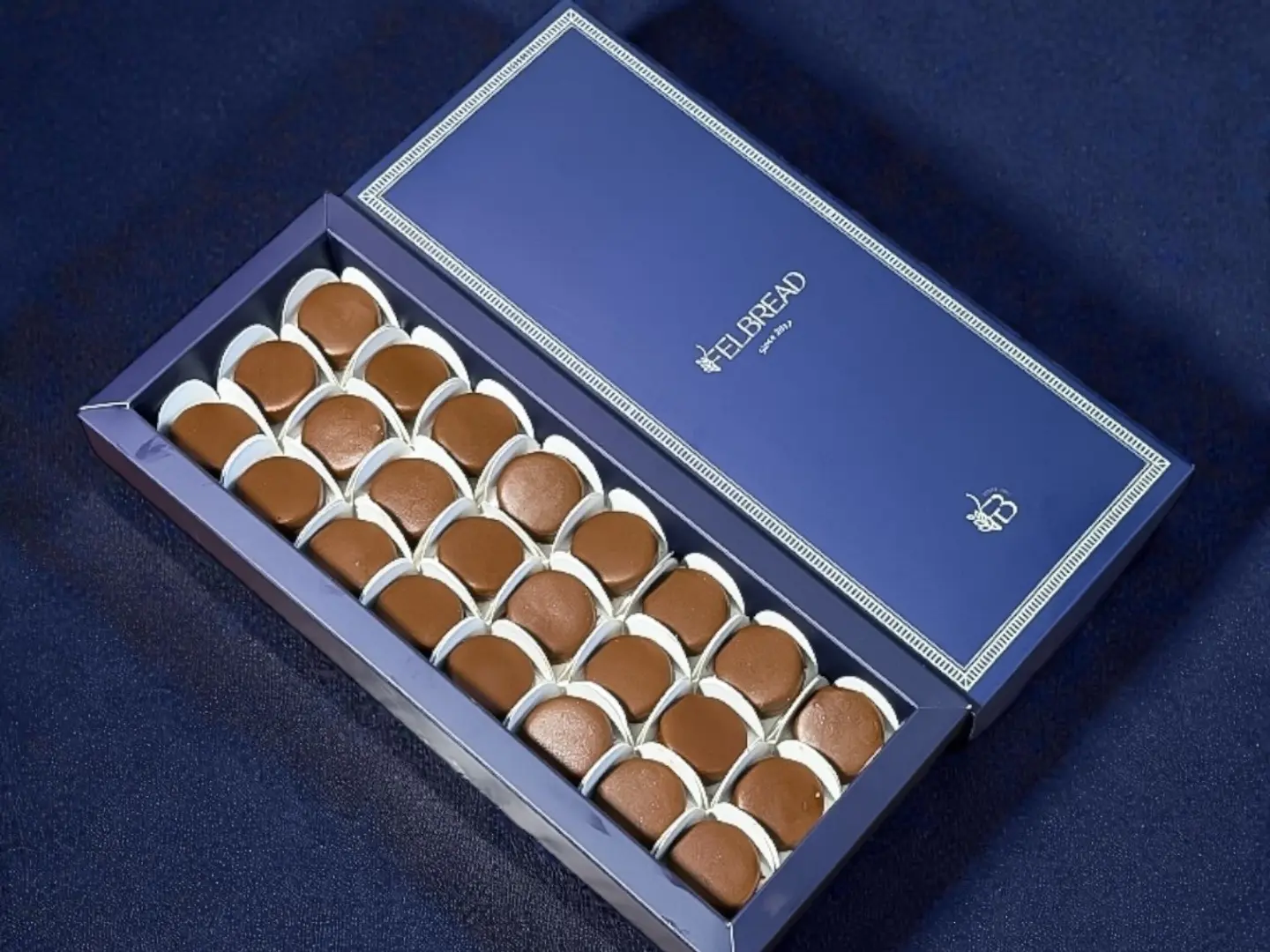 بوكس برالين بايت