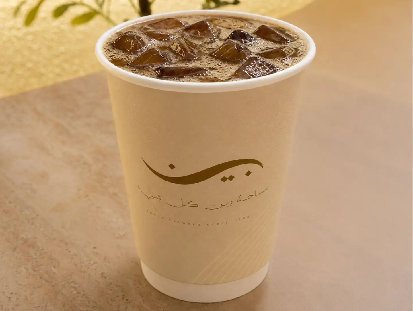 Cold Brew Coffee