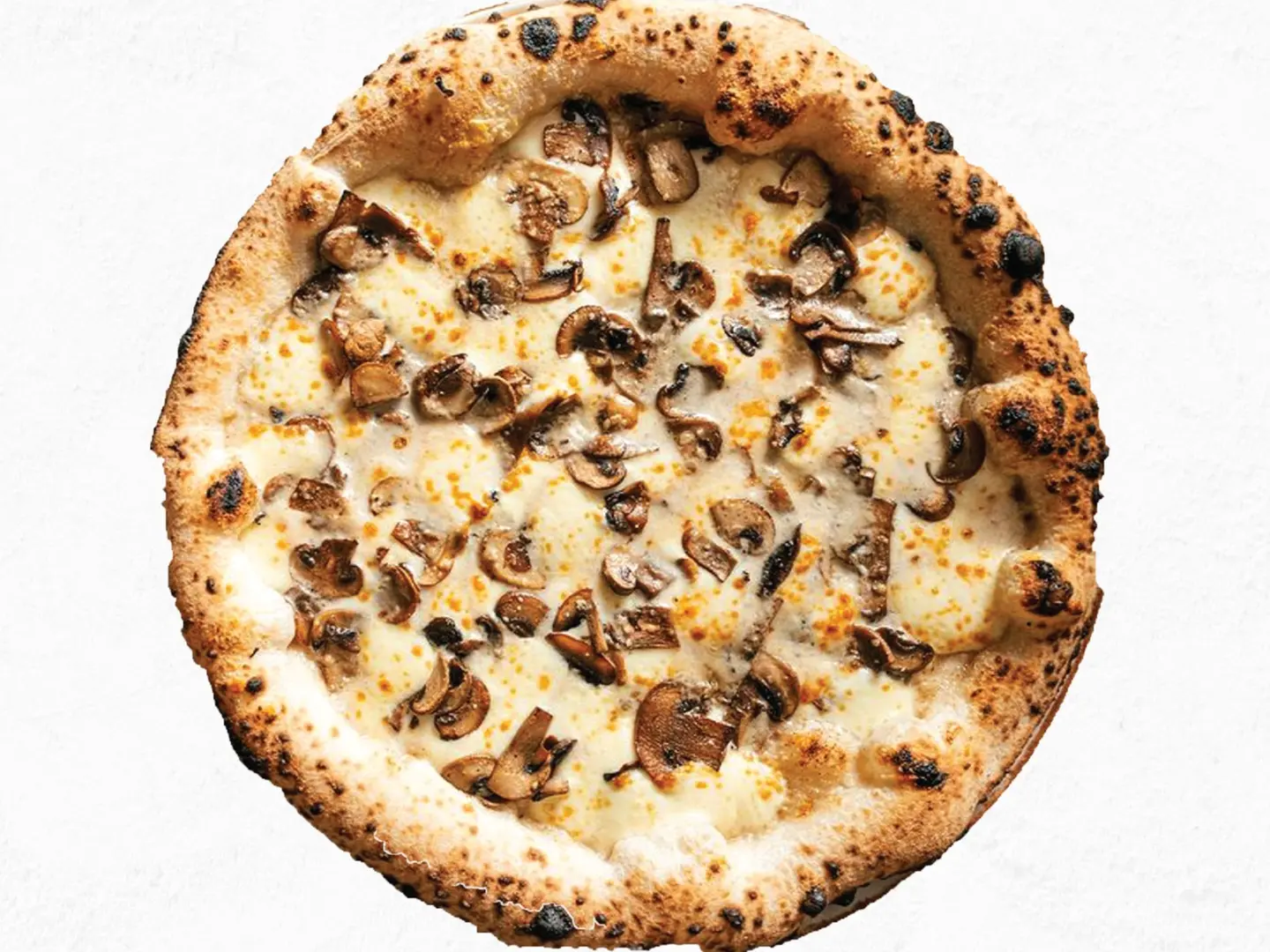 Truffle Pizza