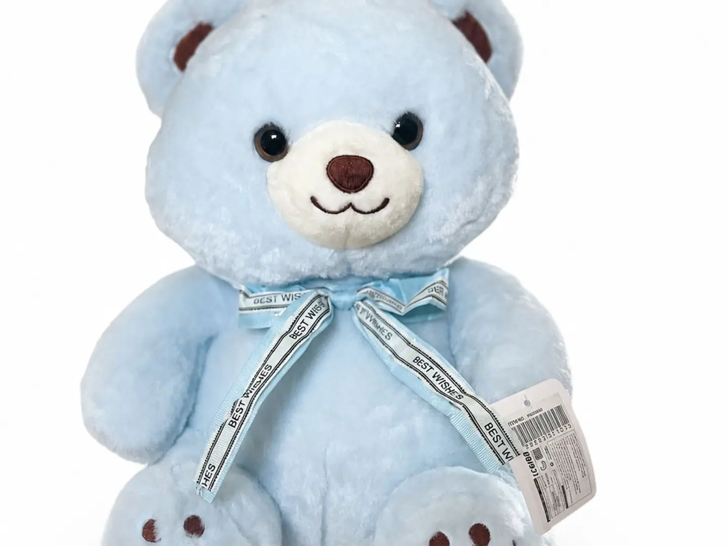 Blue Teddy Bear