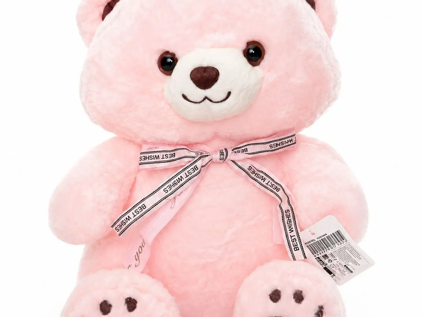 Pink Teddy Bear