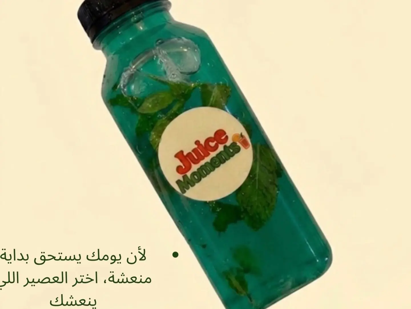 بوكسات الموهيتو - بوكس موهيتو صغير سفت اب ١٠ حبات