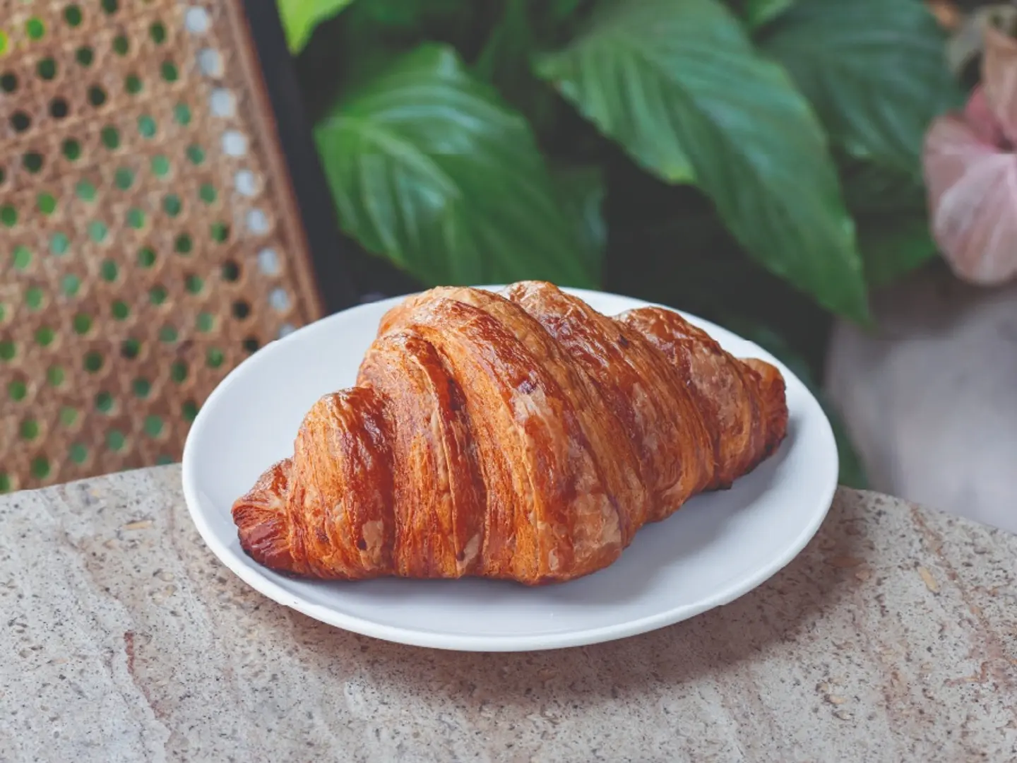 Plain Croissant
