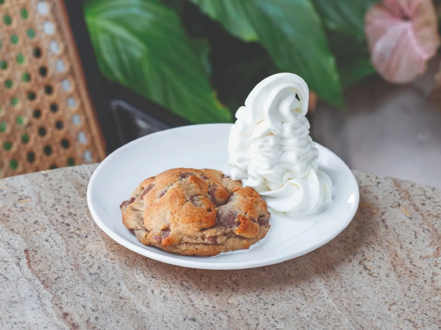 Cookies With Ice Cream