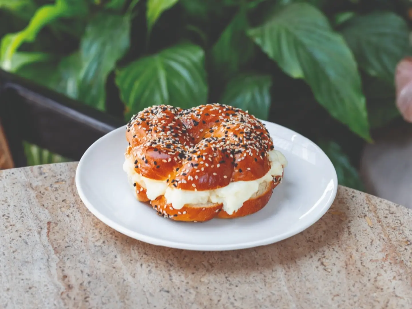 Cheese Bagel