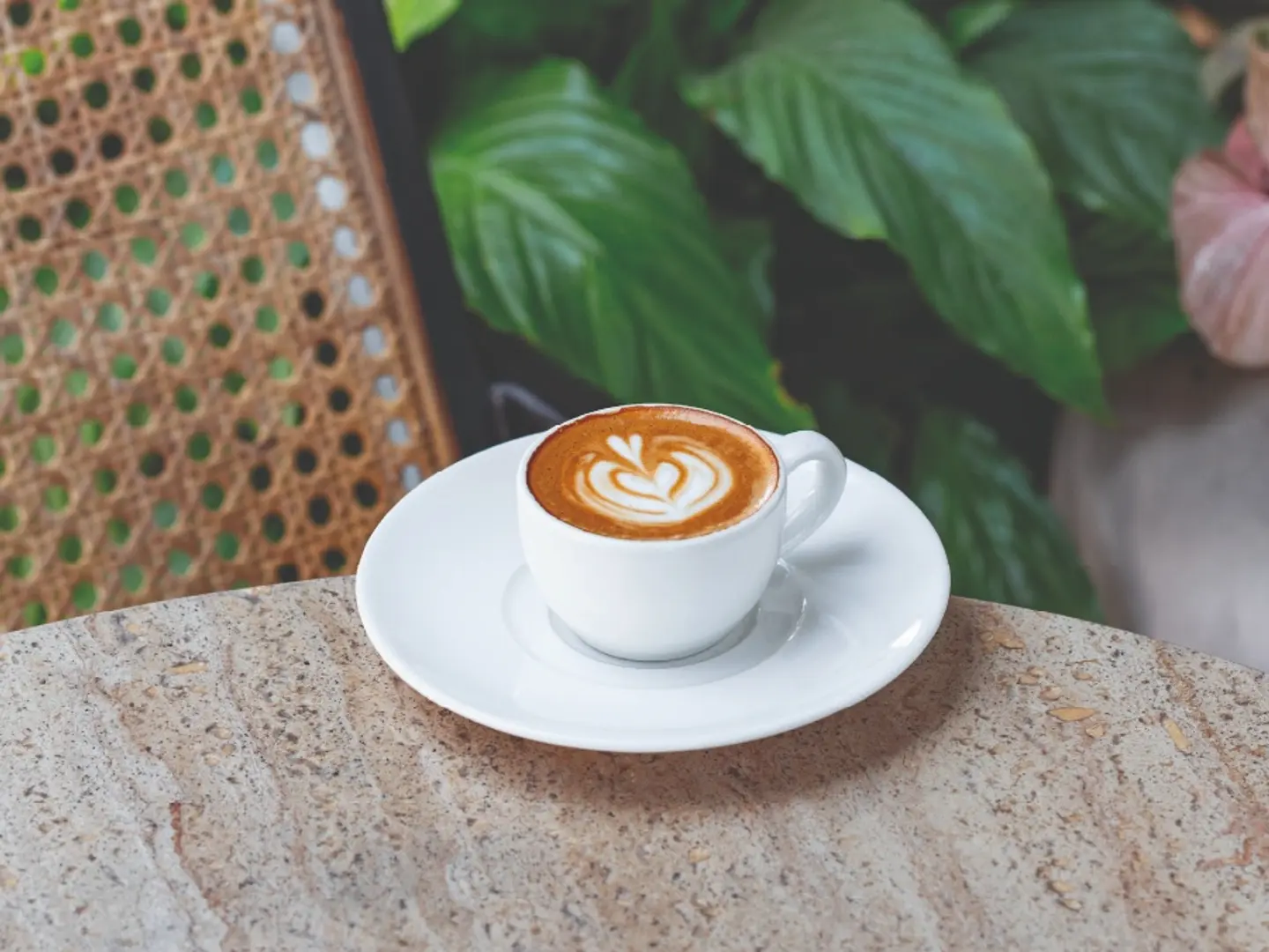 Cortado