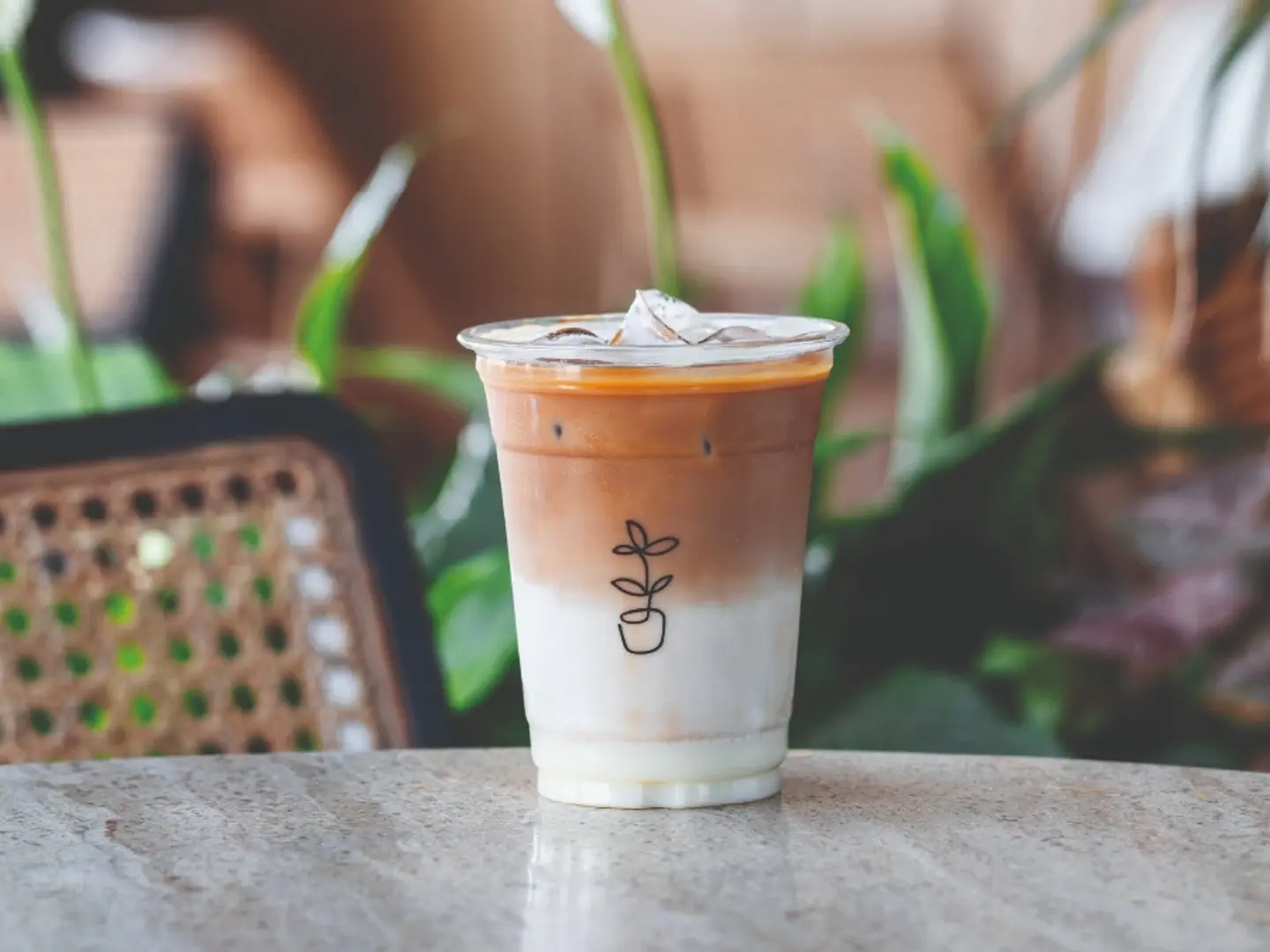 Iced Spanish Latte 16oz