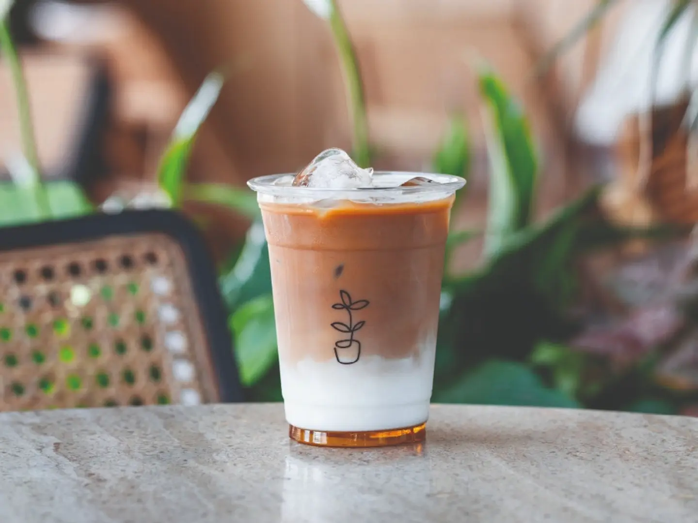 Iced Vanilla Latte 16oz