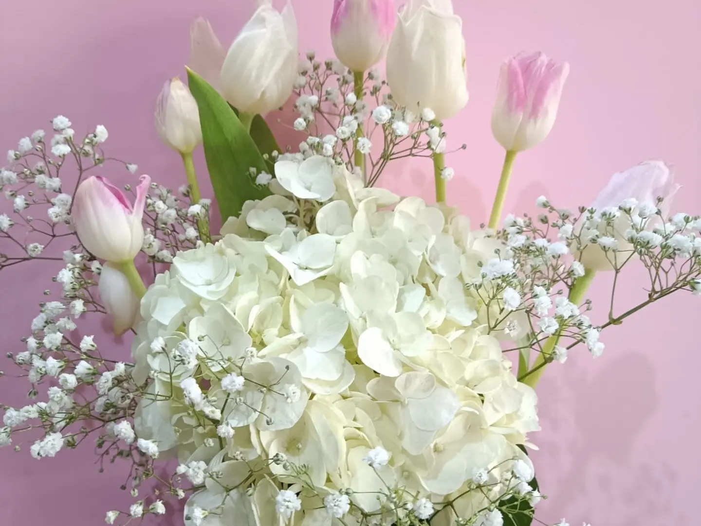 Tulip With Hydrangea