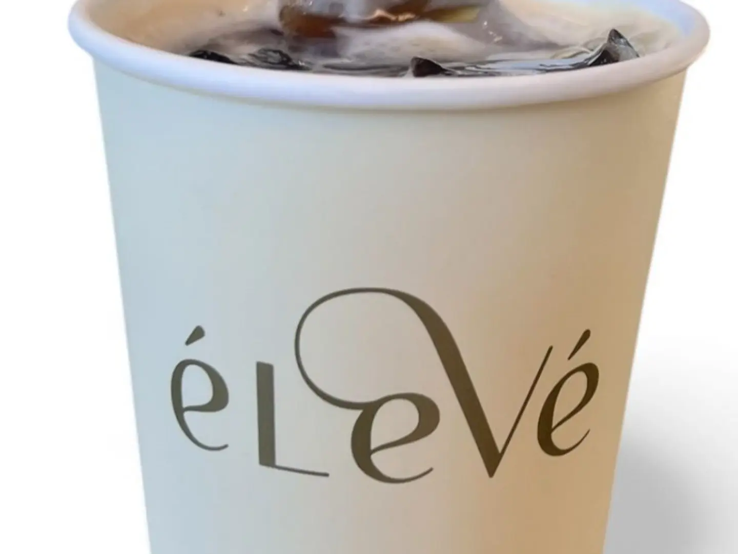 Cold Brew Of The Day