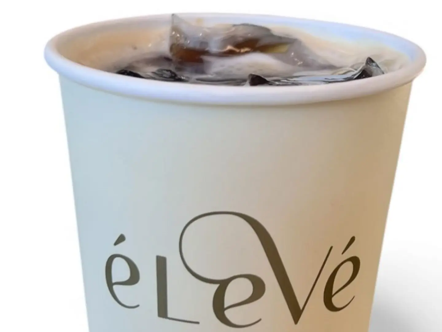 Hot Brew Of The Day
