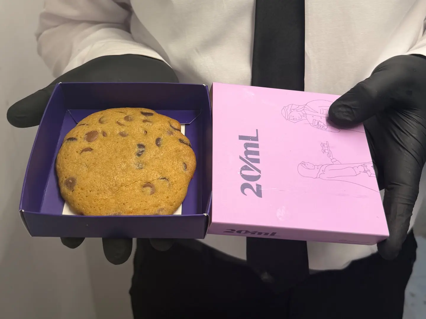 Chocolate Chip Cookie Piece