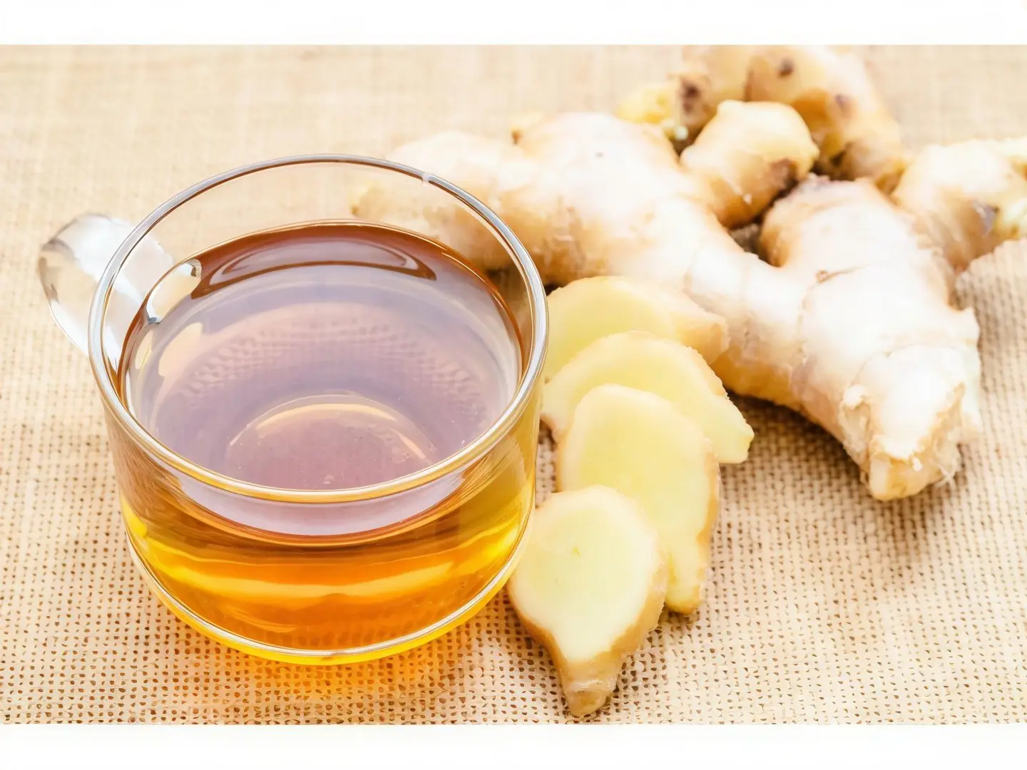 Ginger - Small