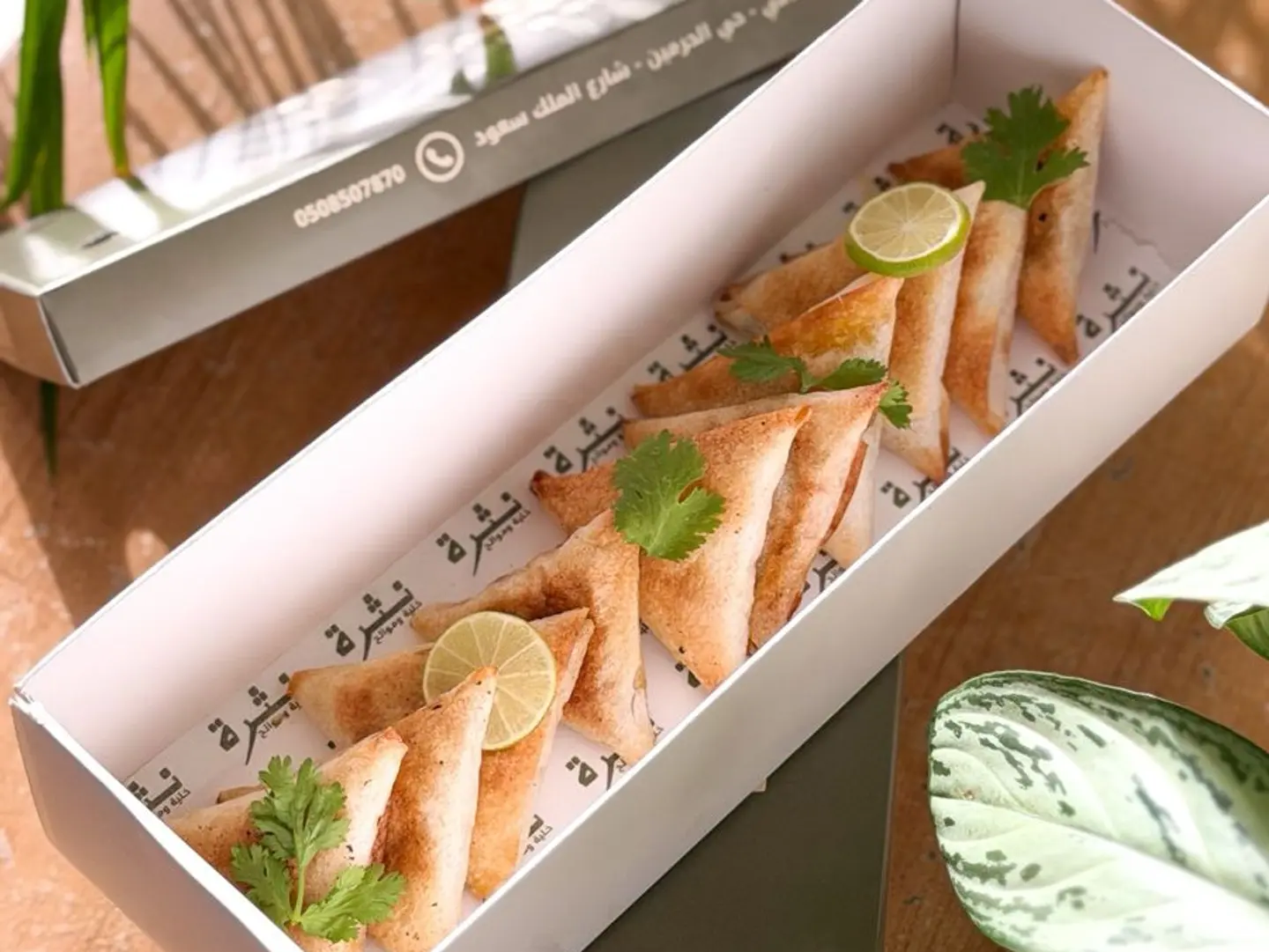 Chicken Sambosa - 10 Pieces