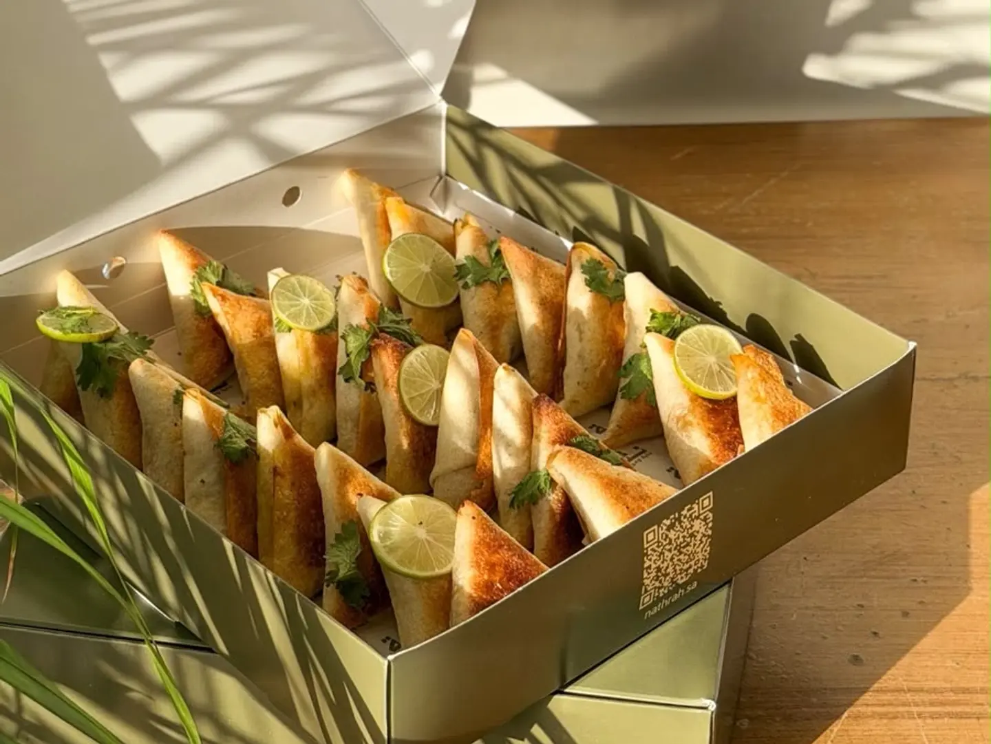 Chicken Sambosa - 10 Pieces