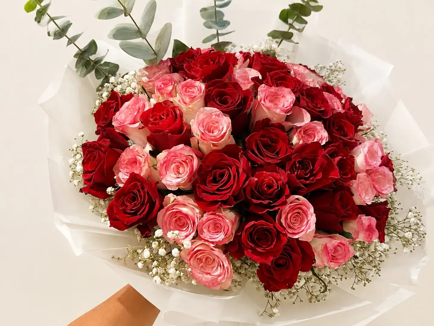 Red And Pink