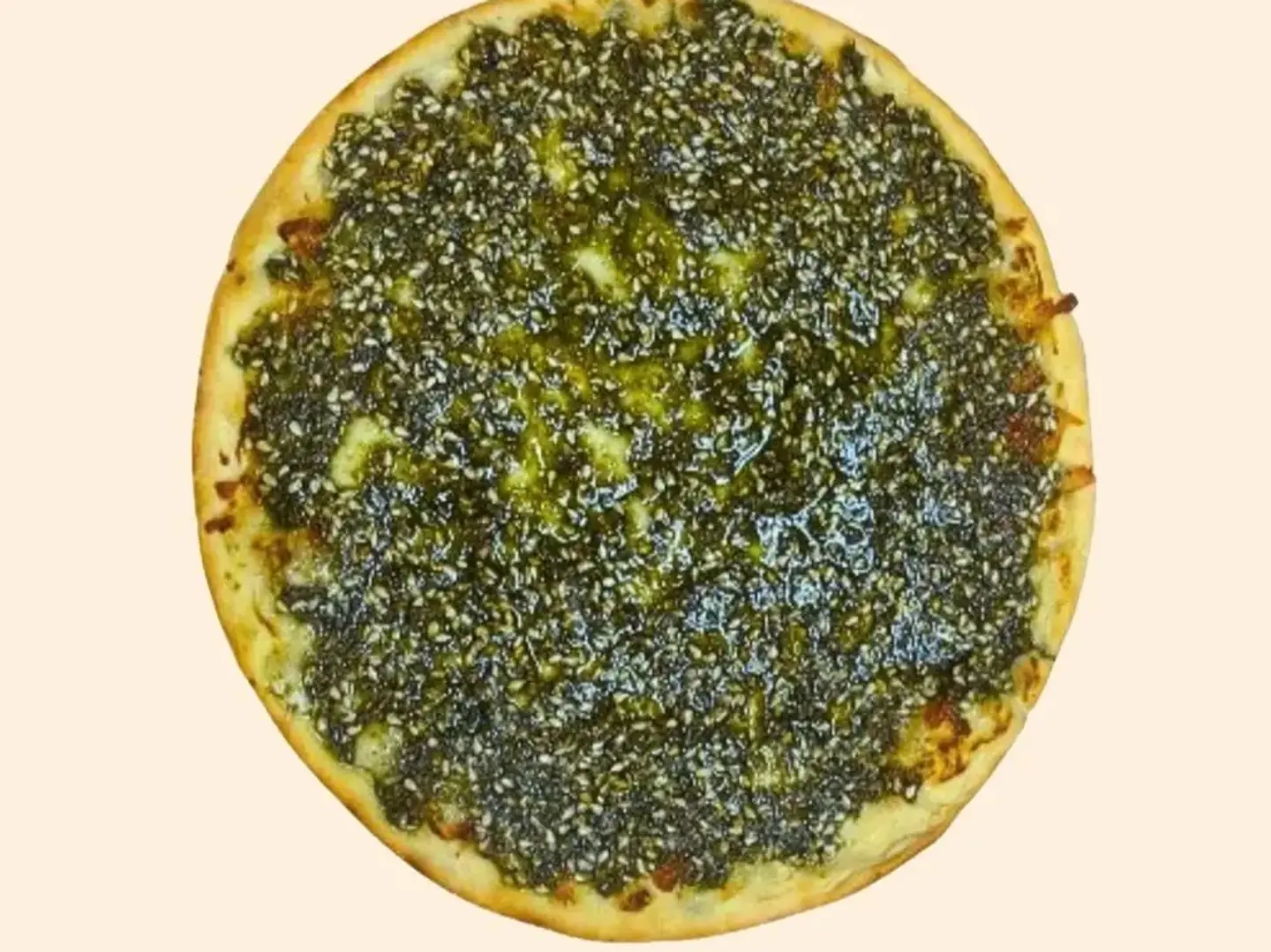 زعتر