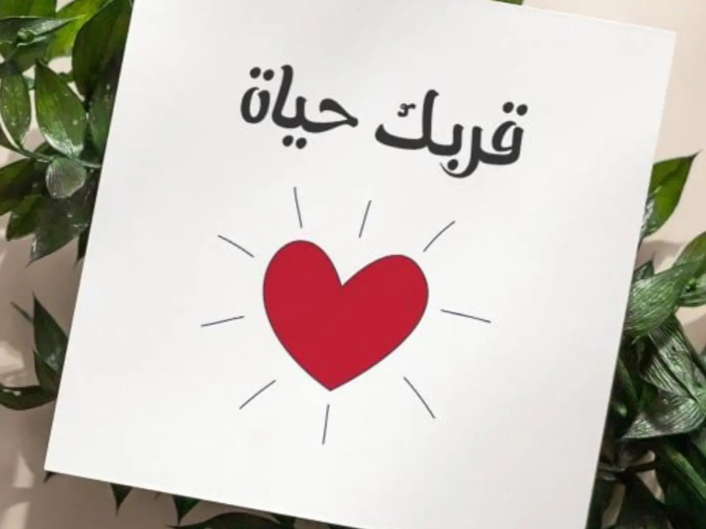 كرت قربك حياة