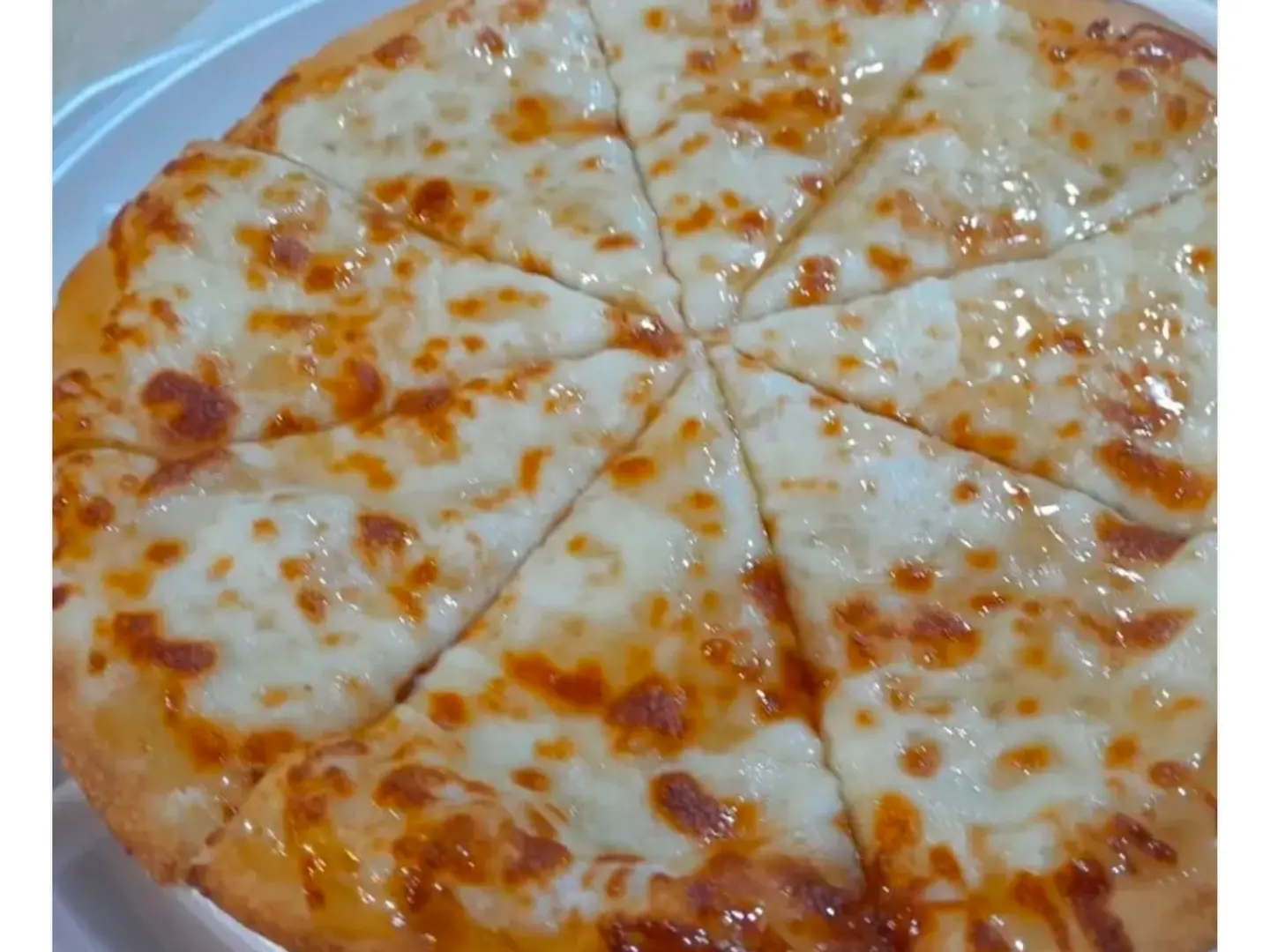 عش البلبل وسط