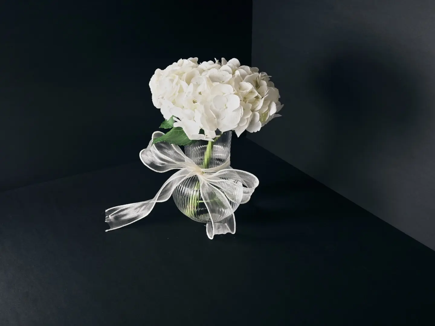 فازه هيدرنجا بيضاء