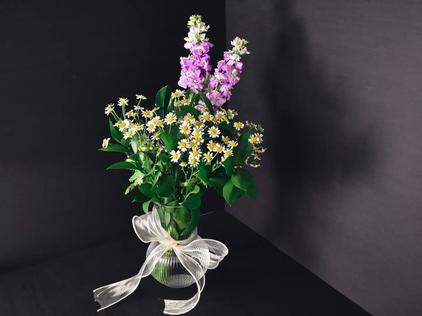 Chrysanthemum With Violet Flowers
