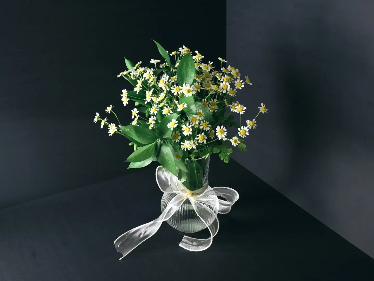 فازة أقحوان