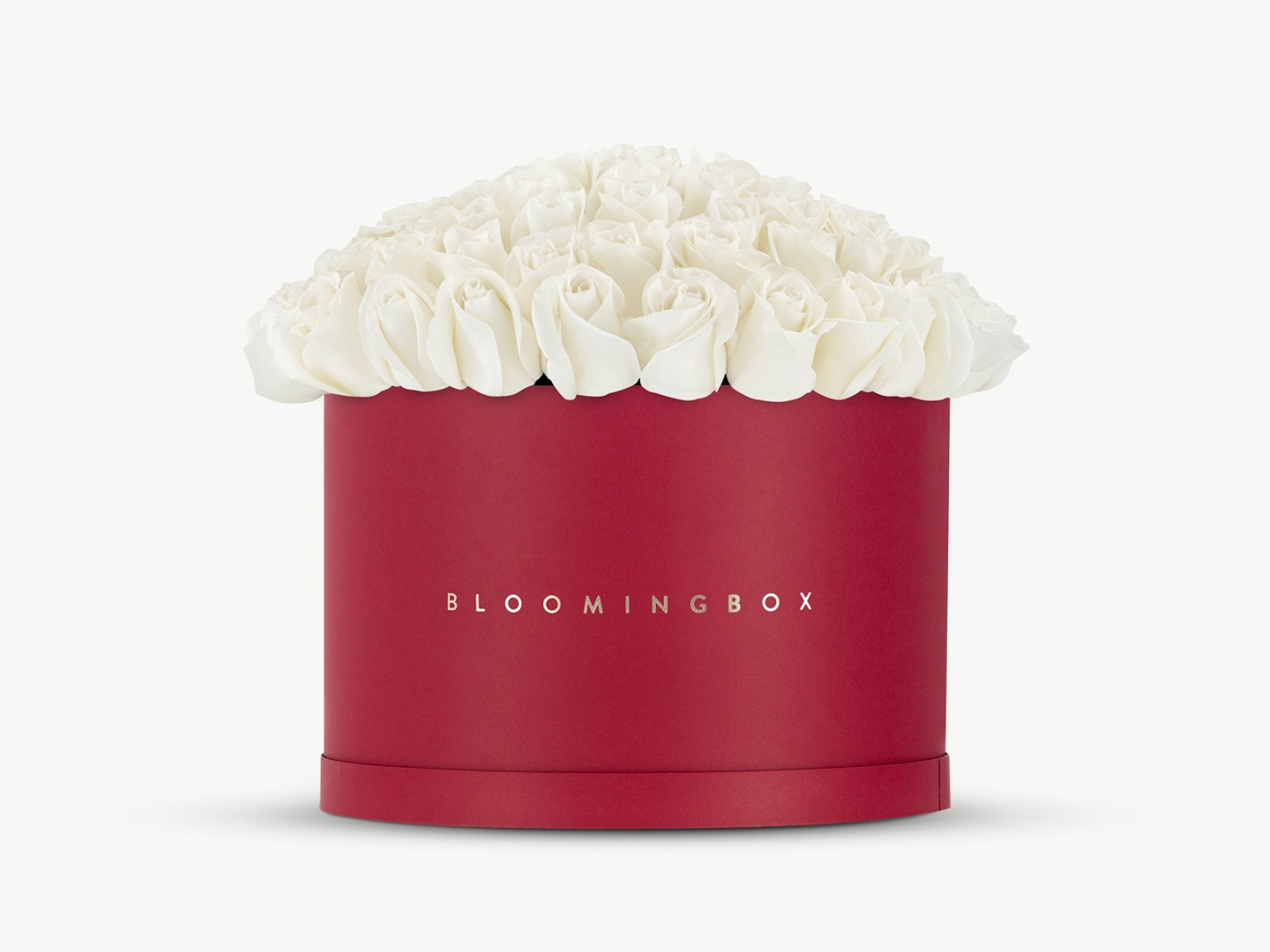 صندوق الورد الأبيض كبير جداً