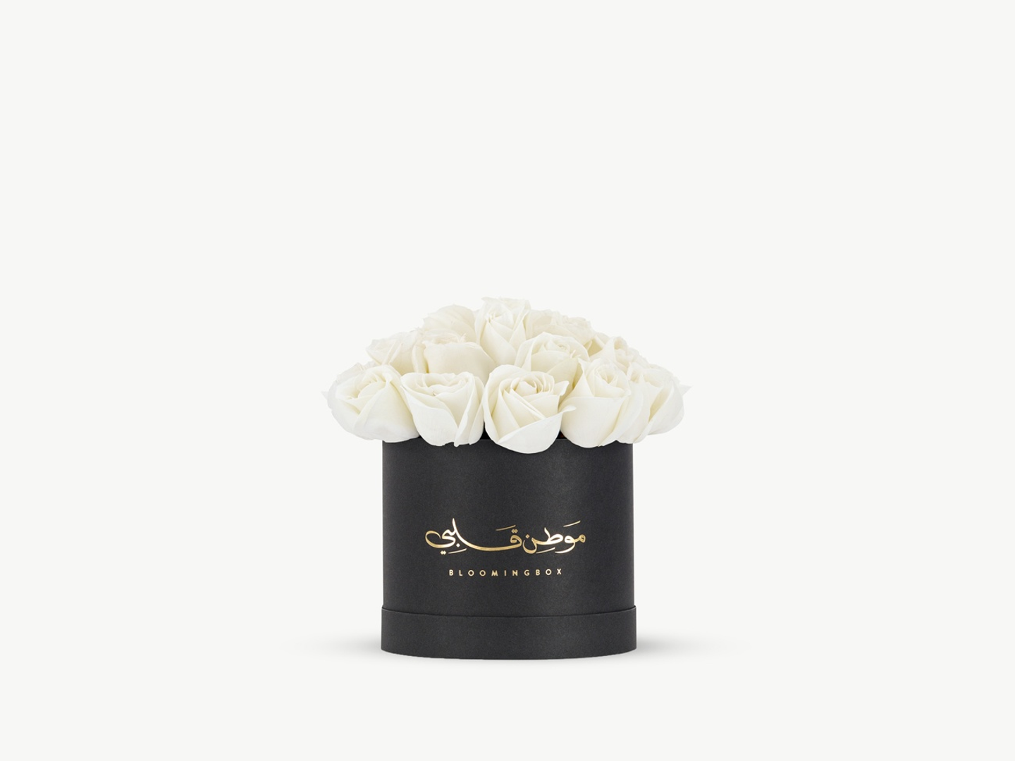 صندوق الورد الأبيض المتوسط