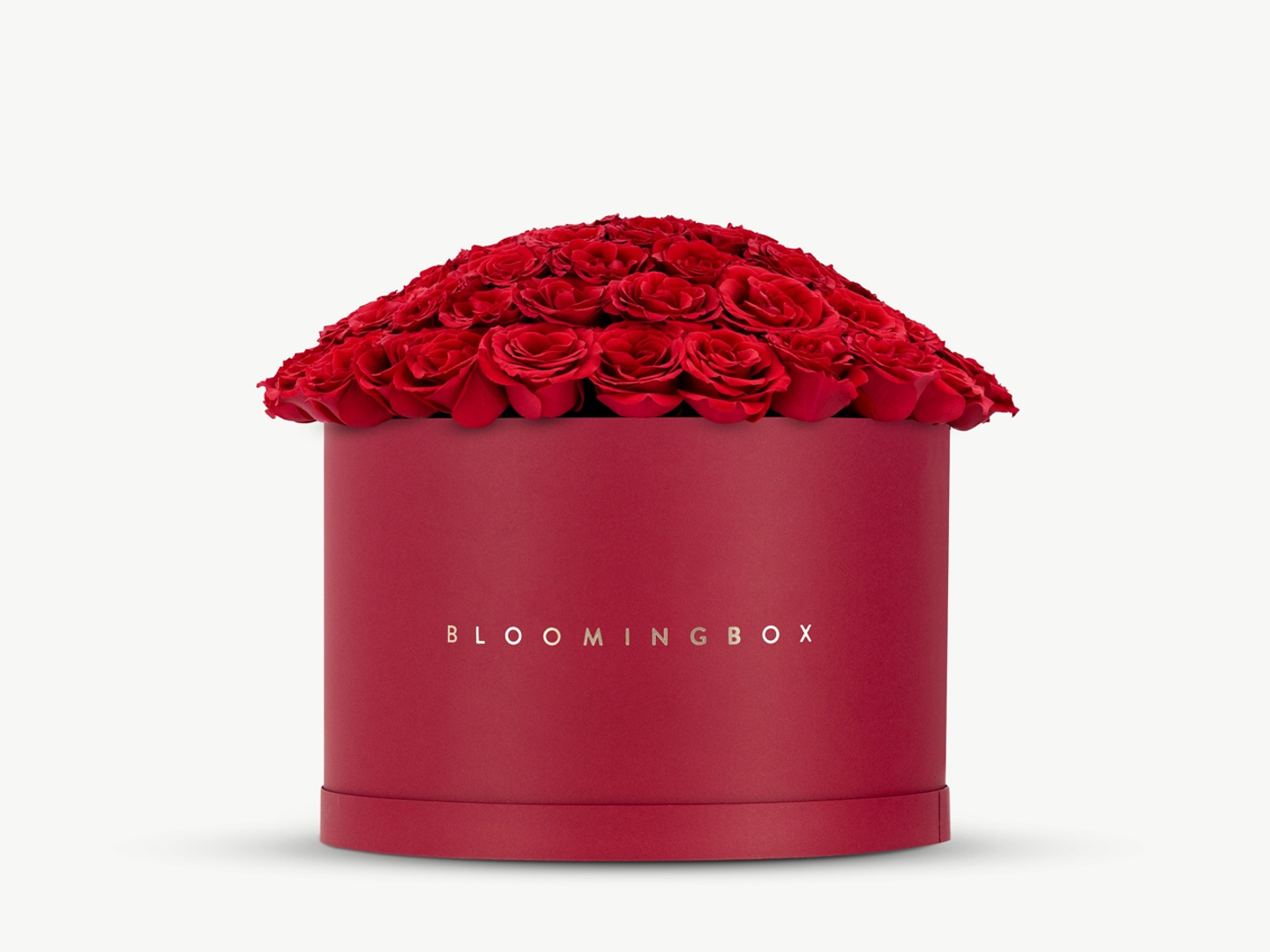 بوكس روز احمر كبير جدًا