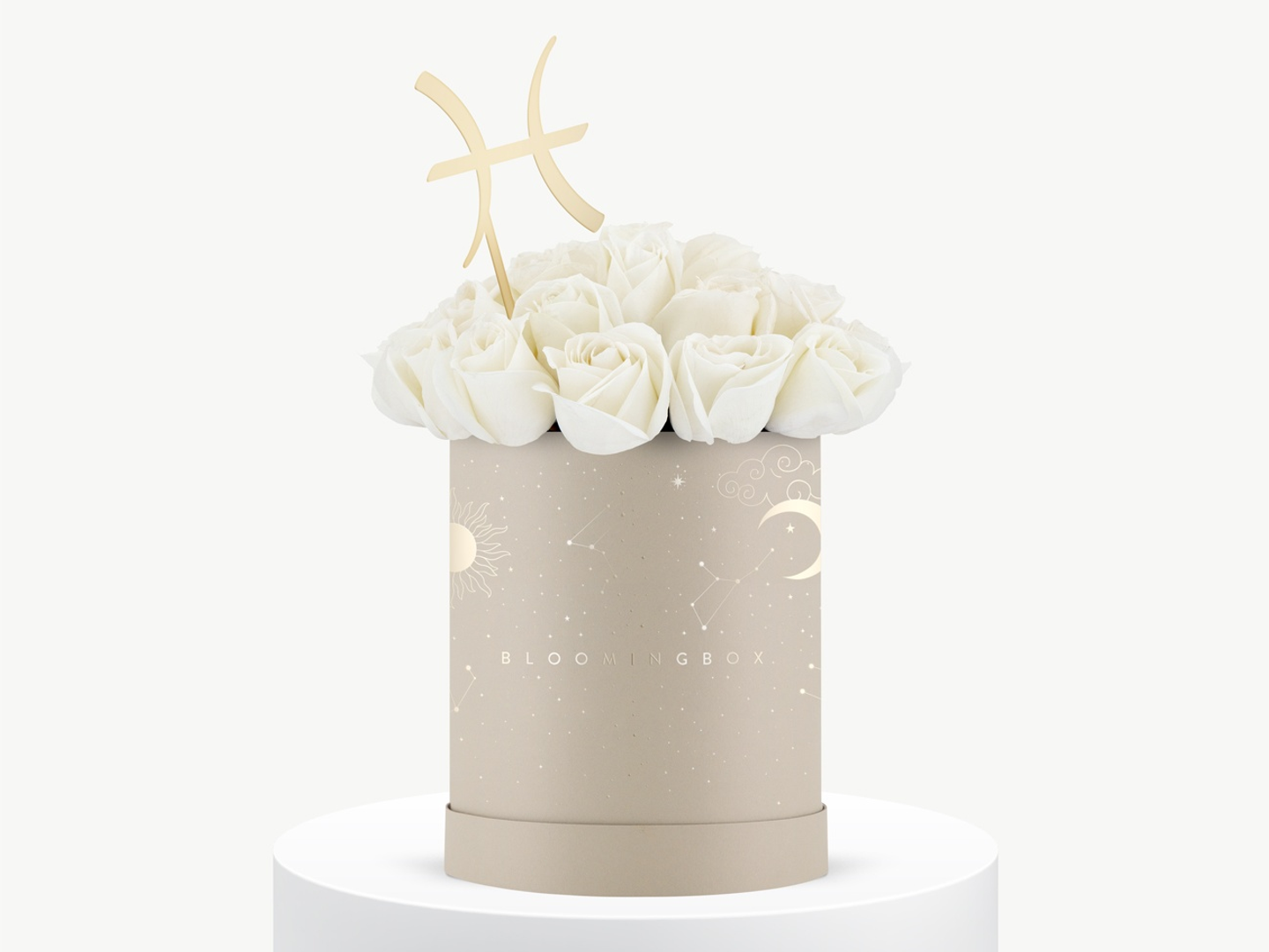 بوكس روز البرج