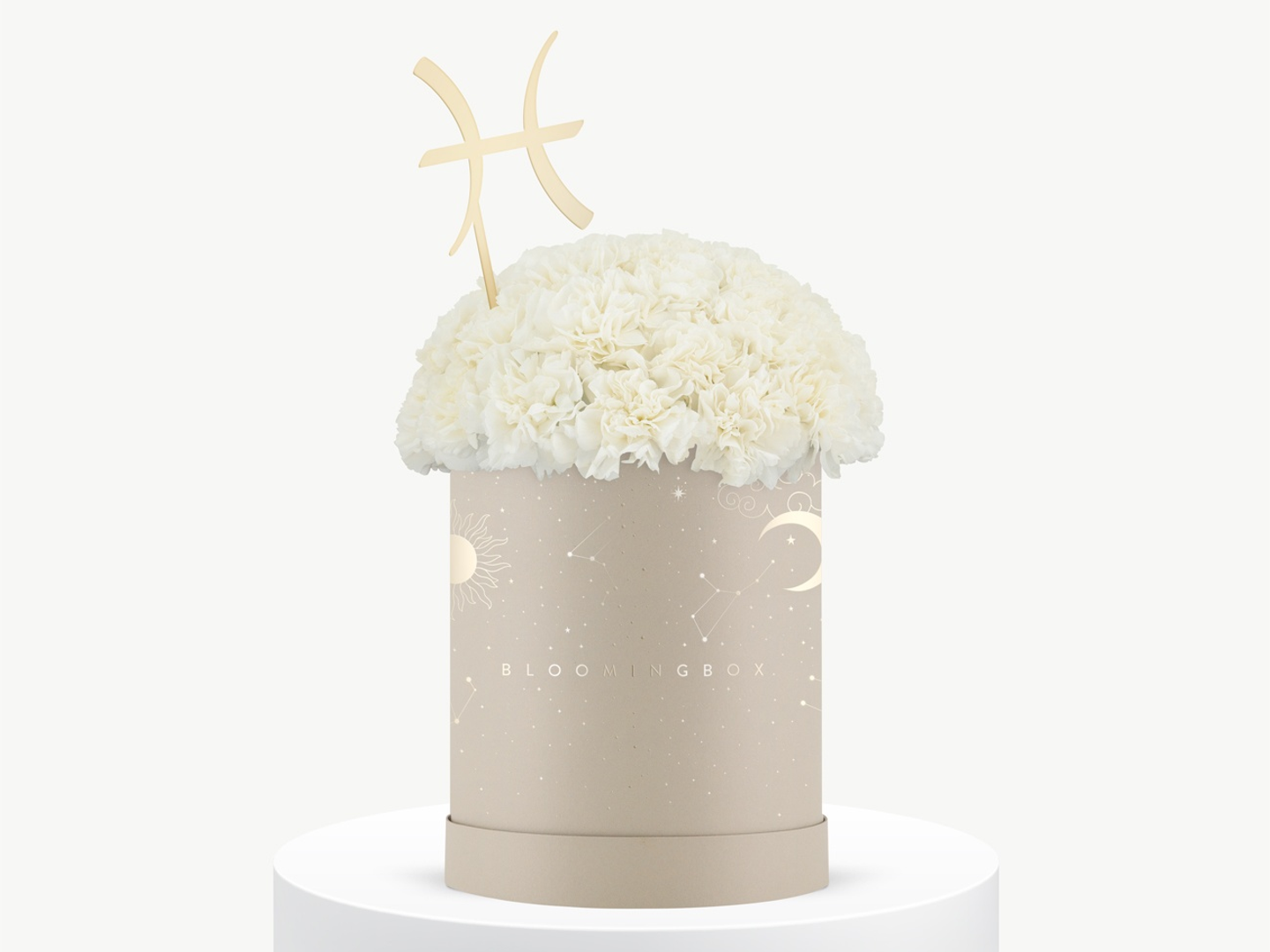 بوكس قرنقل برج العقرب