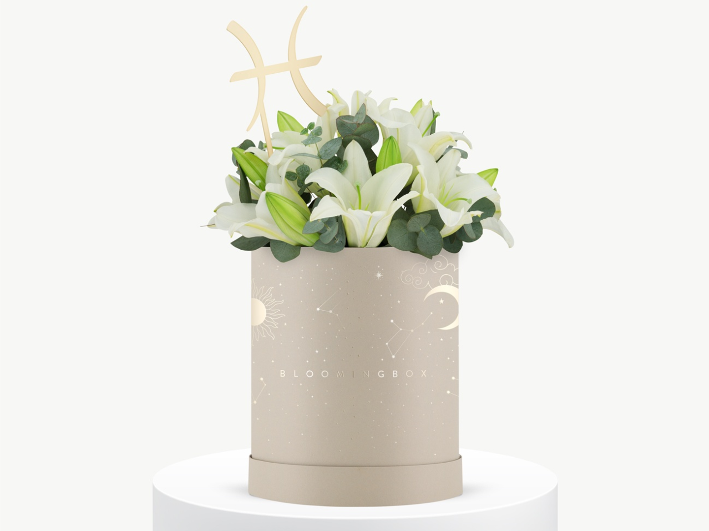 بوكس ليليوم البرج