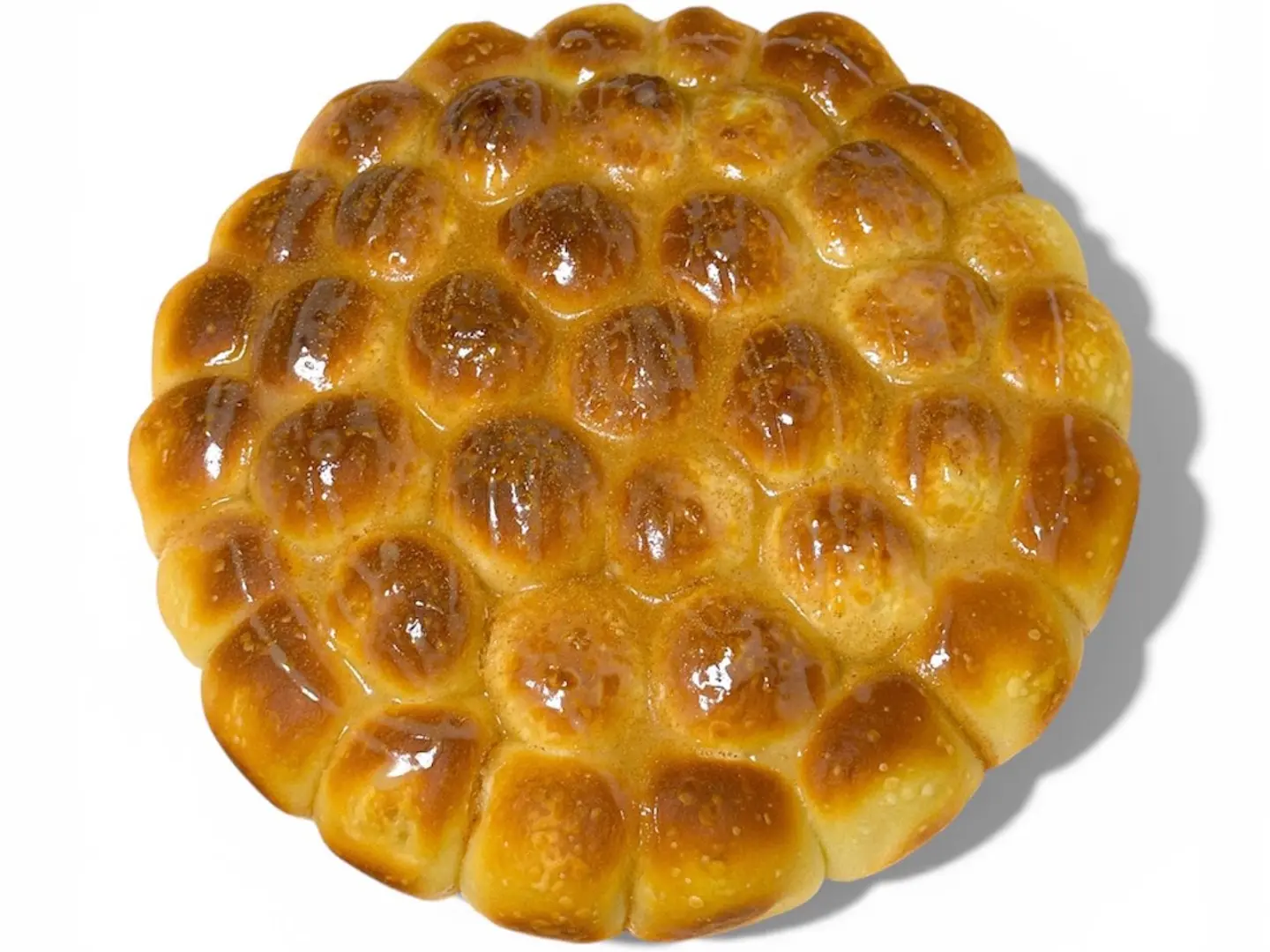 خلية سينابون