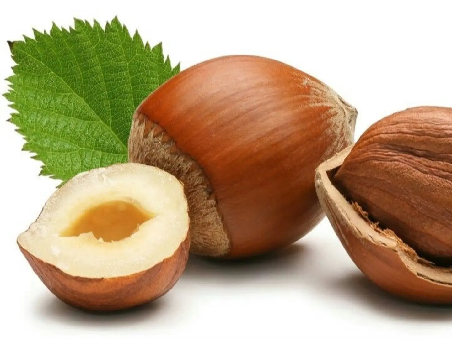 Hazelnut