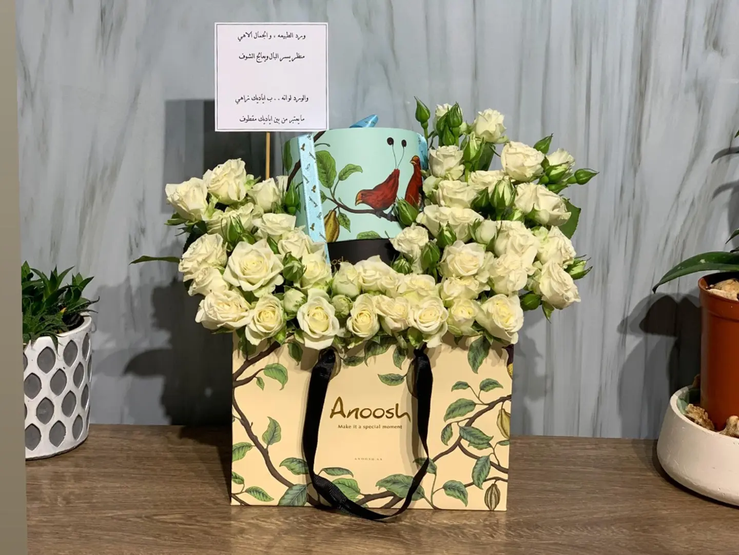 تنسيق انوش 1
