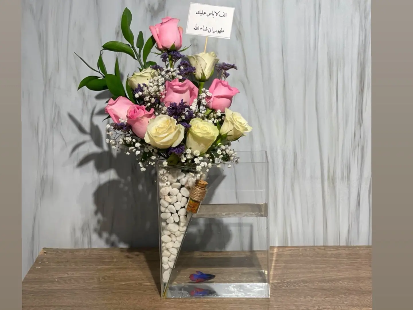 فازة سمك 5