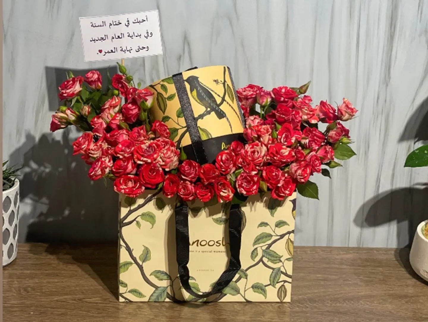 تنسيق أنوش 4