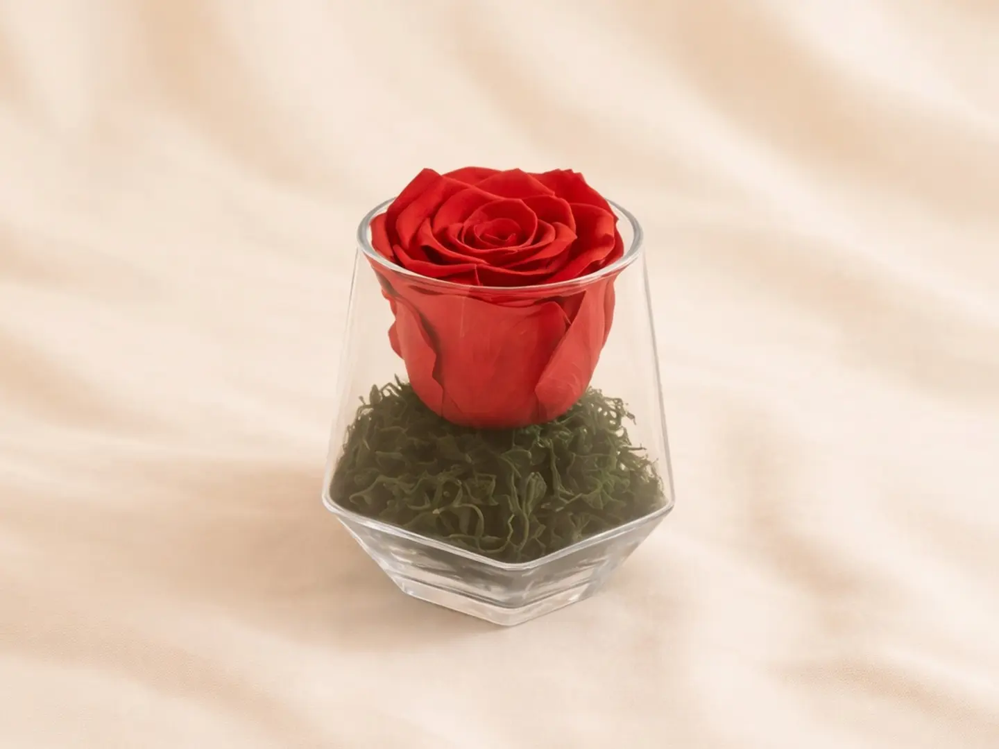 وردة حمراء أبدية بقاعدة زجاجية جميلة