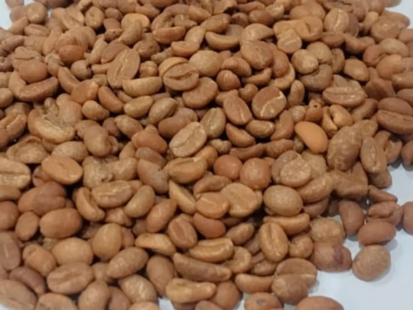 Harari Coffee 500 Grams