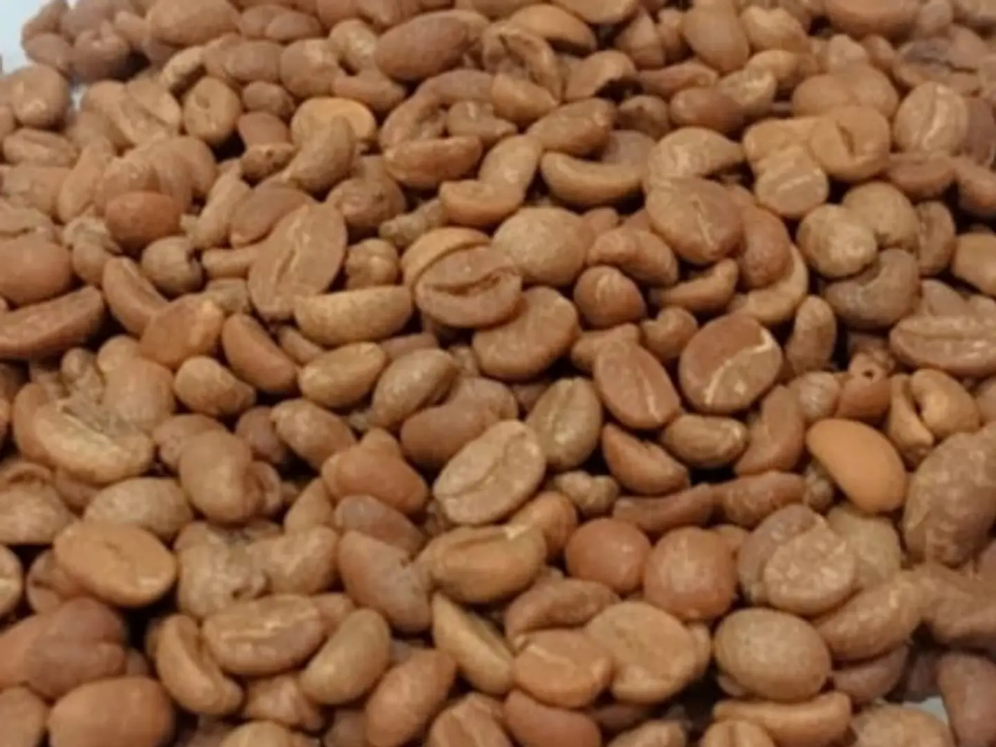 Khawlani Coffee 1 Kg