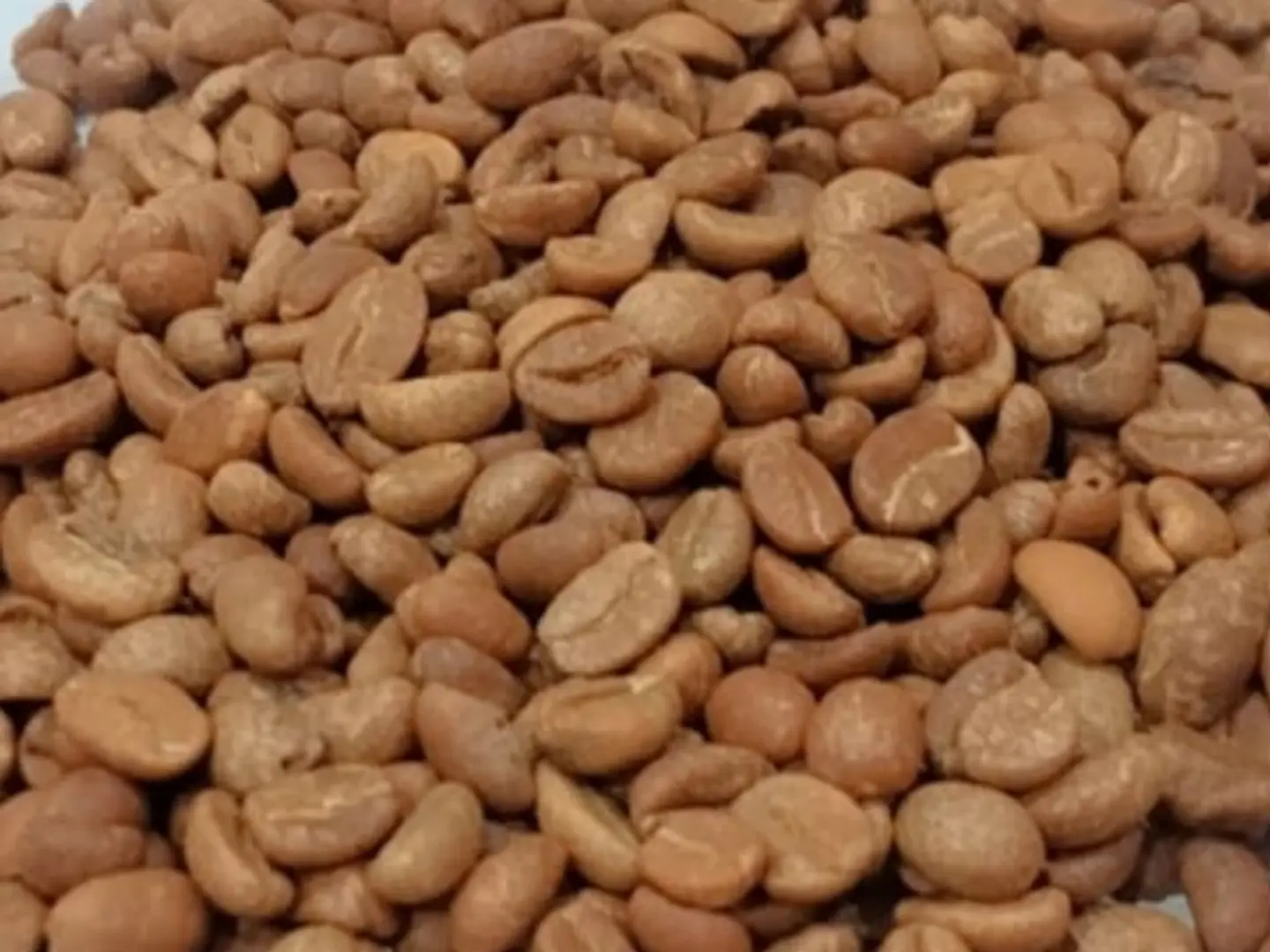 Afaaq Al Kaif Coffee 500 Grams