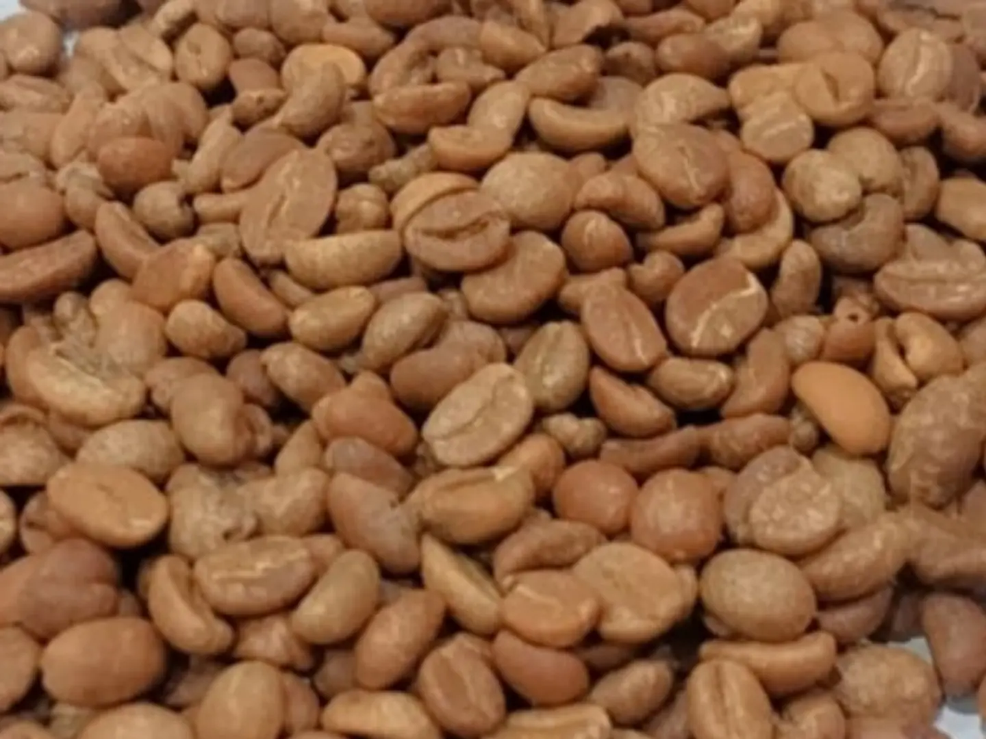 Wild Coffee 250 Grams