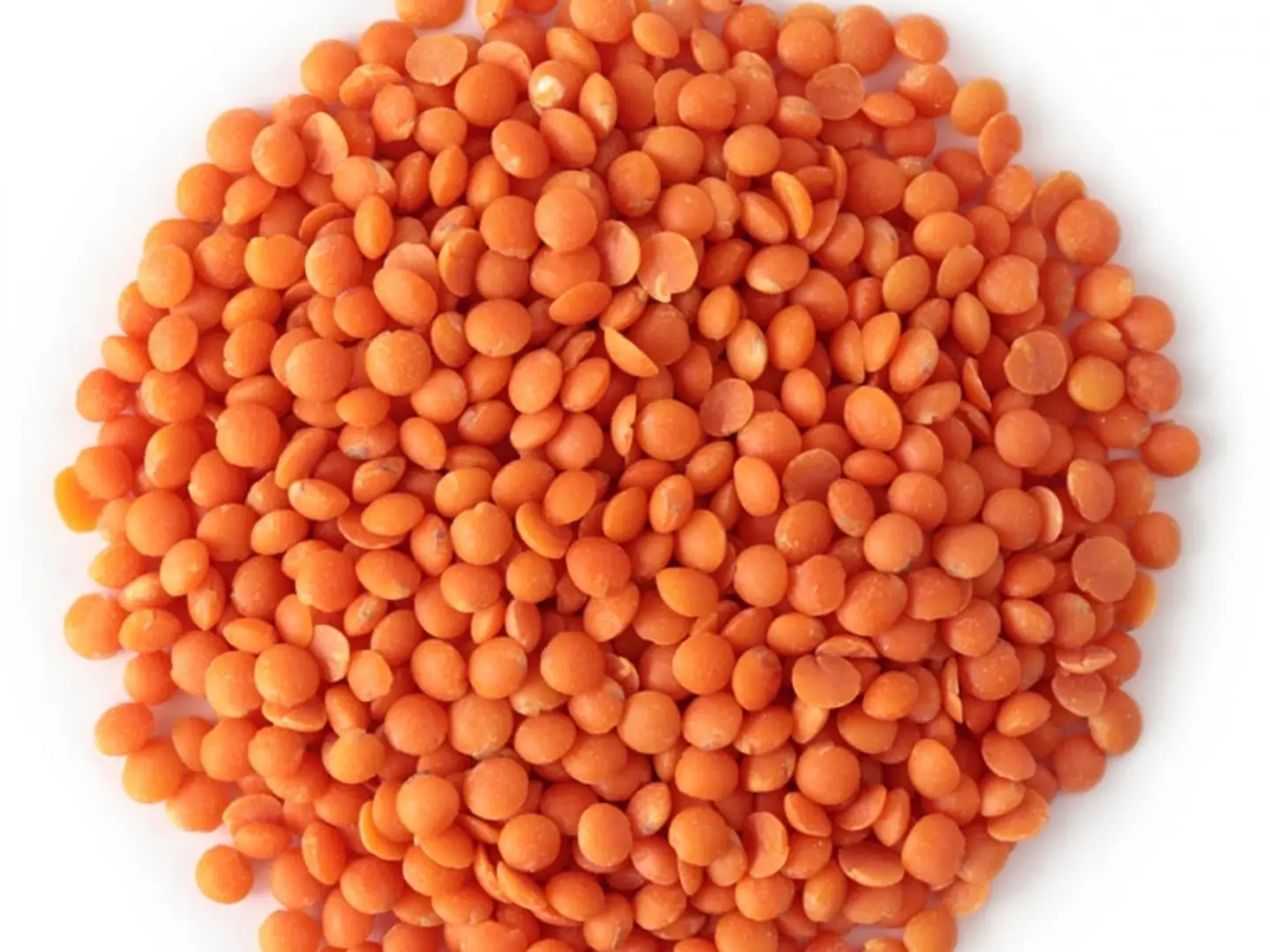 Red Lentils 1kg